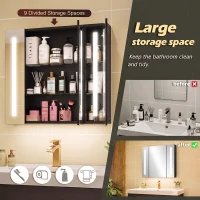 Armoire de toilette murale avec miroir