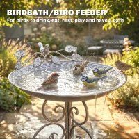 Bain d'oiseaux