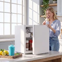 Mini-réfrigérateur 46 L avec congélateur, blanc