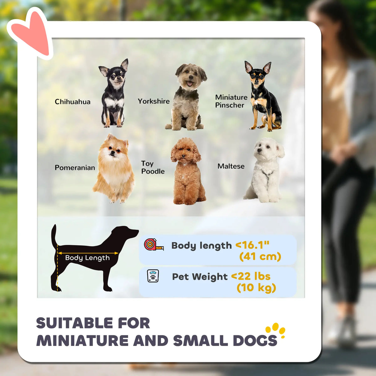 Poussette pour petit chien, poussette pliable à 3 roues avec capote réglable et porte en filet zippée, grise