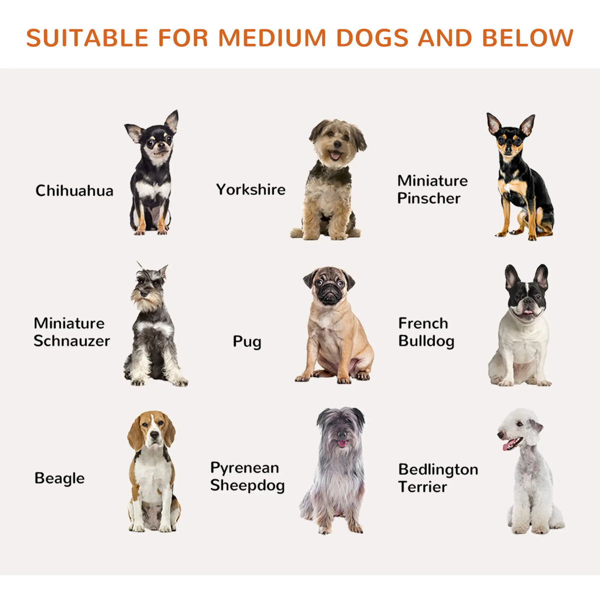 Barrière pour chien pliable 80 cm (31,5 po) de hauteur avec porte, 3 panneaux, autoportante, avec pieds de support, idéale pour les chiots et les chiens de petite et moyenne taille, blanche