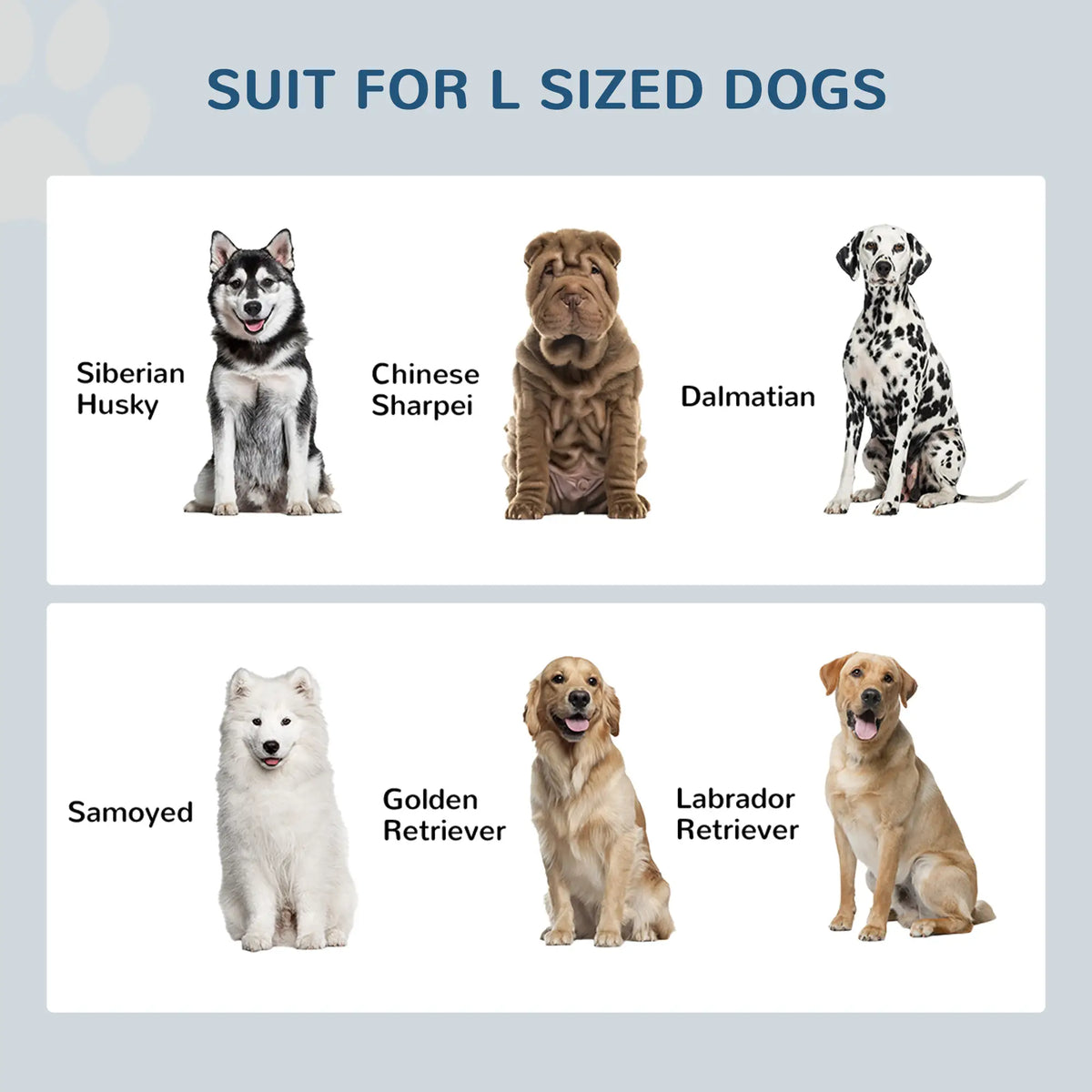 Gamelles surélevées pour chiens, station d'alimentation avec rangement, 2 gamelles en acier inoxydable, 60 x 30 x 36 cm, gris