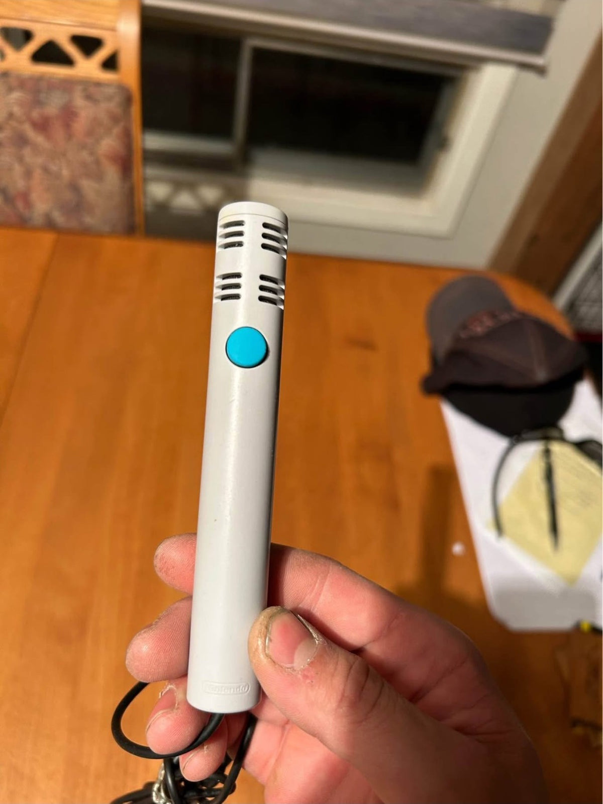 Microphone GameCube - détail