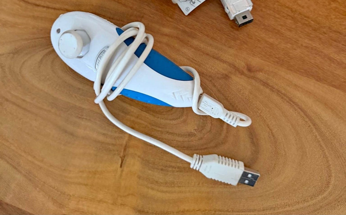 Nunchuks Wii - gros plan
